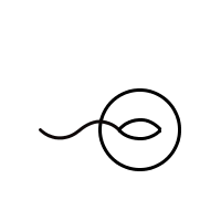 fertilized_egg