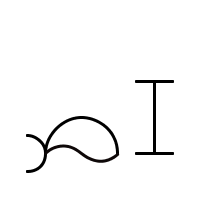 whale
